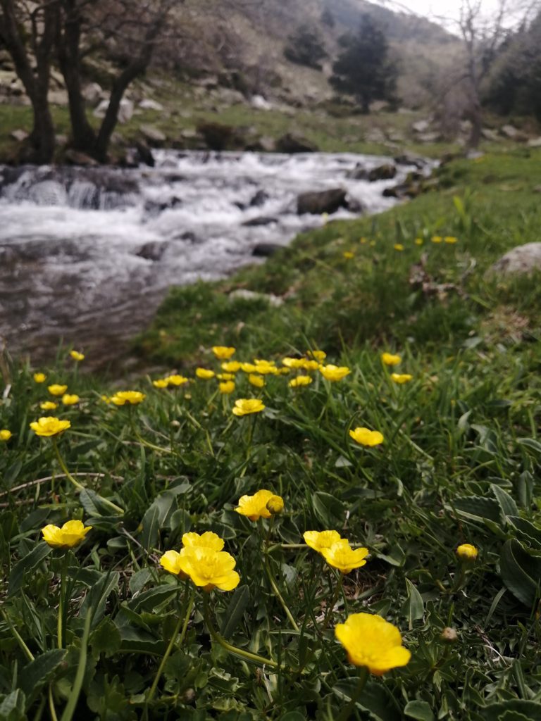 excursions amb nens cerdanya francesa